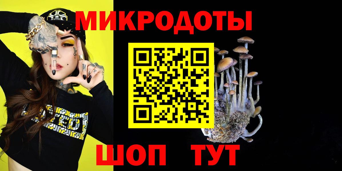 цены   Вход с VPN  Великий Устюг  Псилоцибиновые грибы Cubensis 